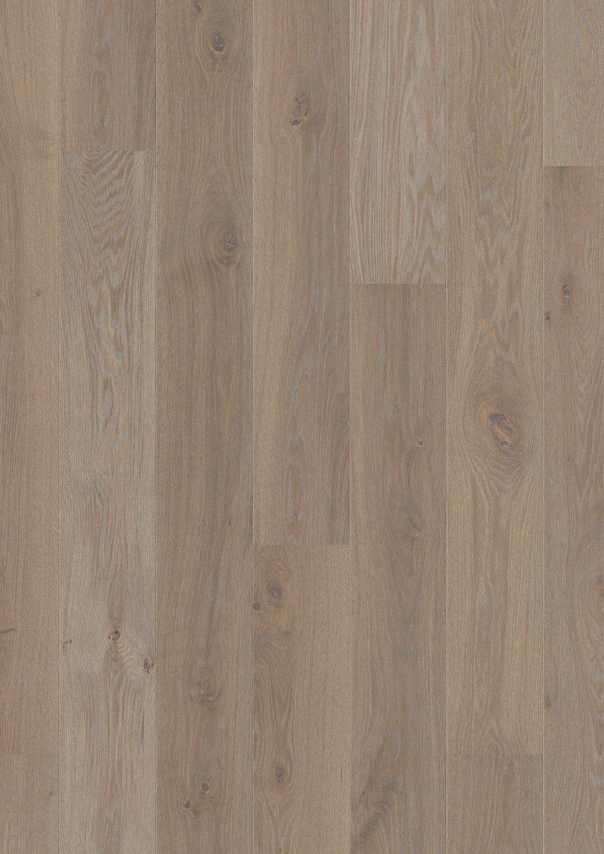 TWG 3-Schicht Parkett Landhausdiele Eiche Soft grey naturell