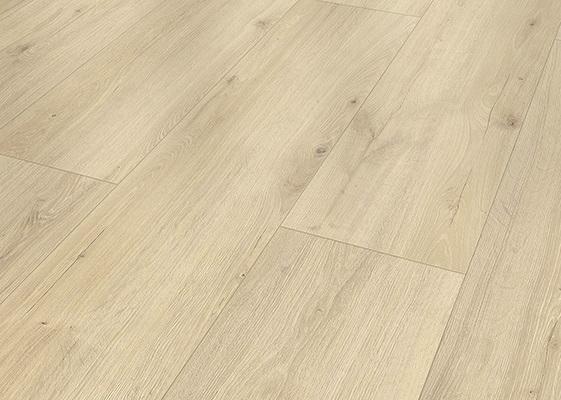 TWG Laminat Mega XL Silent Eiche Carlos Skyline Large – Bild 3