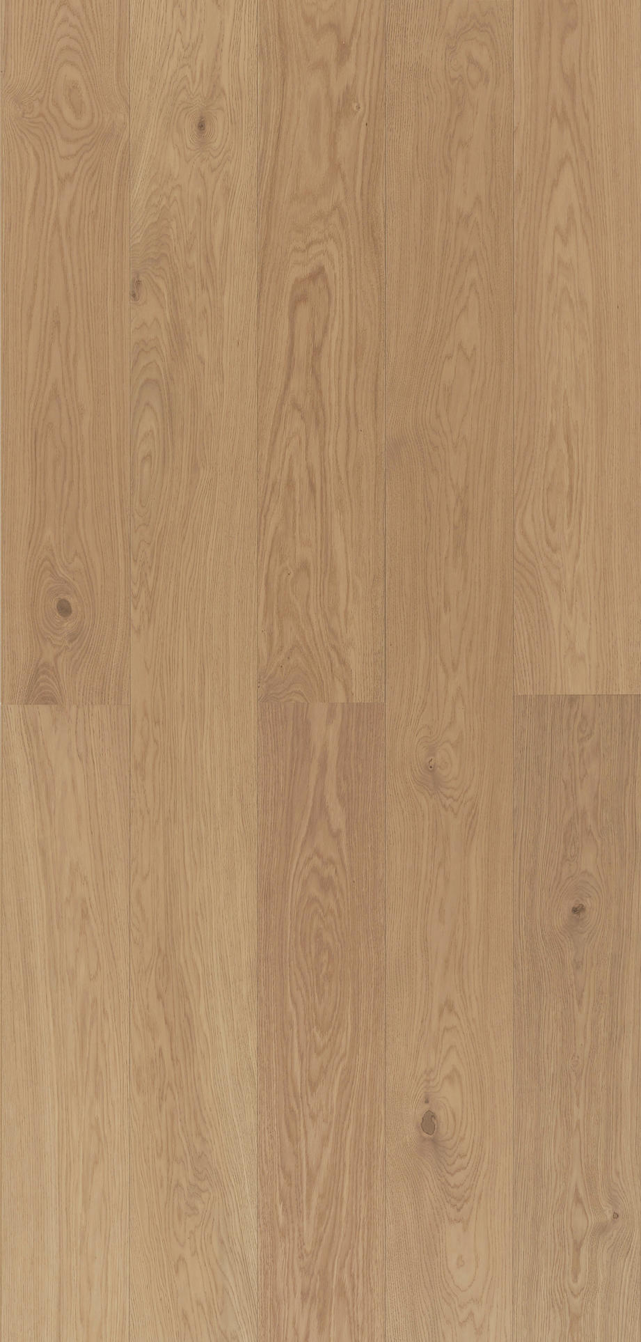 TWG Lindura HD 400 LHD Eiche Markant 9025