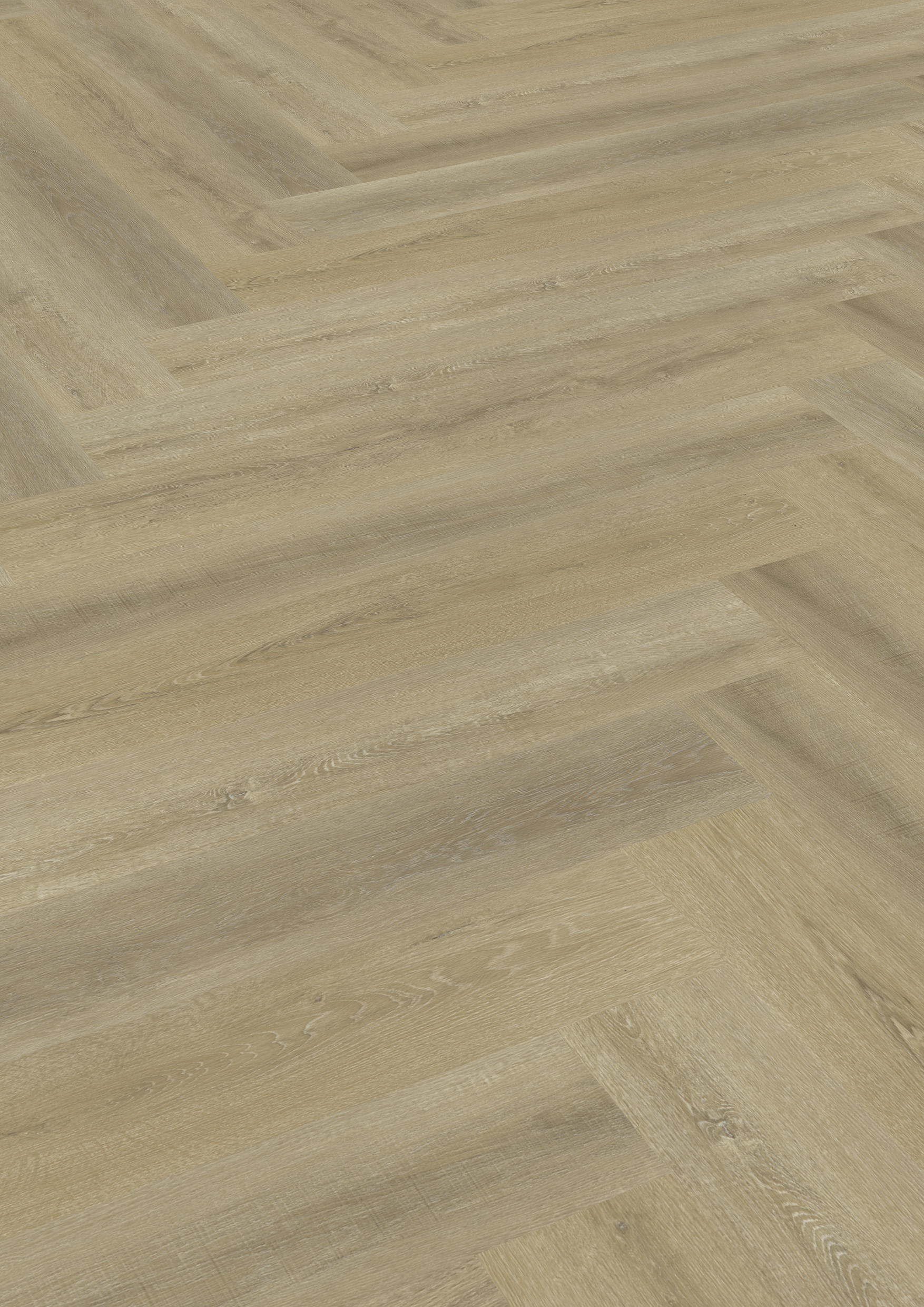 TWG Vinylboden Titan One 030 Fischgrät Gluedown Sawcut Oak Natural – Bild 2