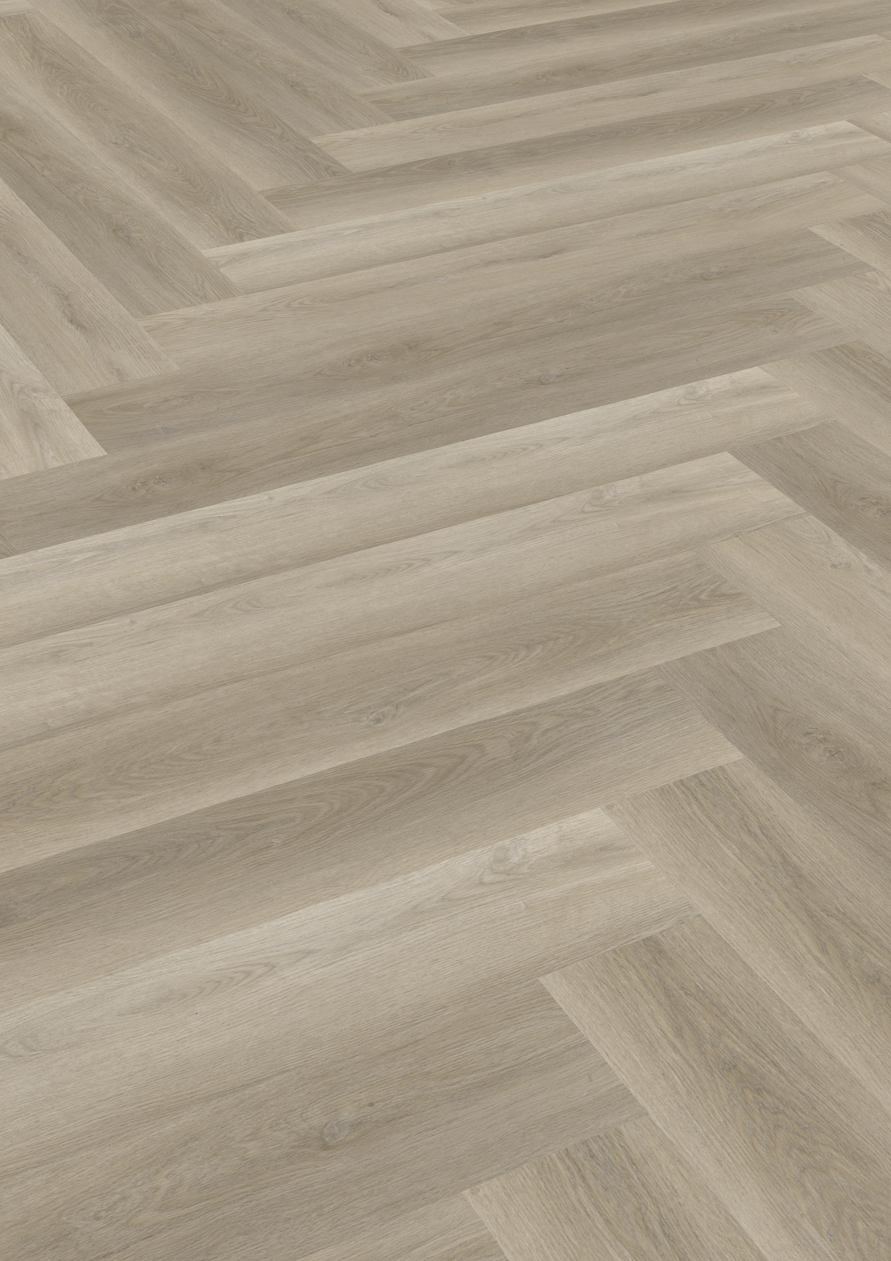 TWG Vinylboden Titan One 030 Fischgrät Gluedown Soft Oak Greige – Bild 2