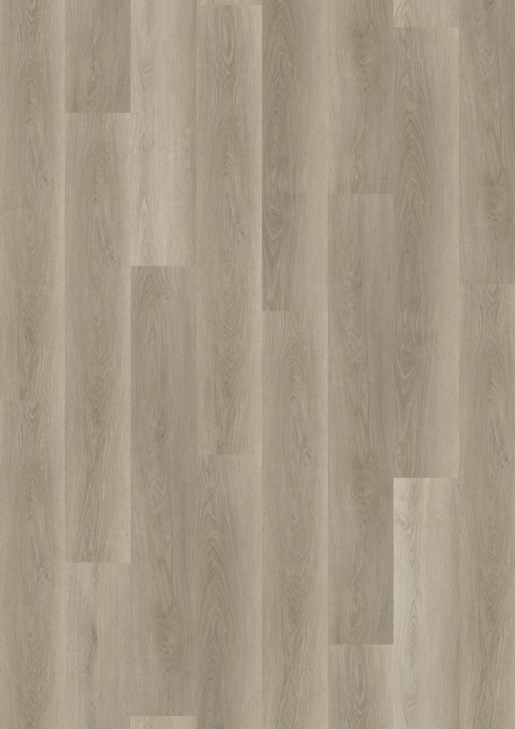 TWG Vinylboden Titan One 030 Fischgrät Rigid - Click Soft Oak Greige
