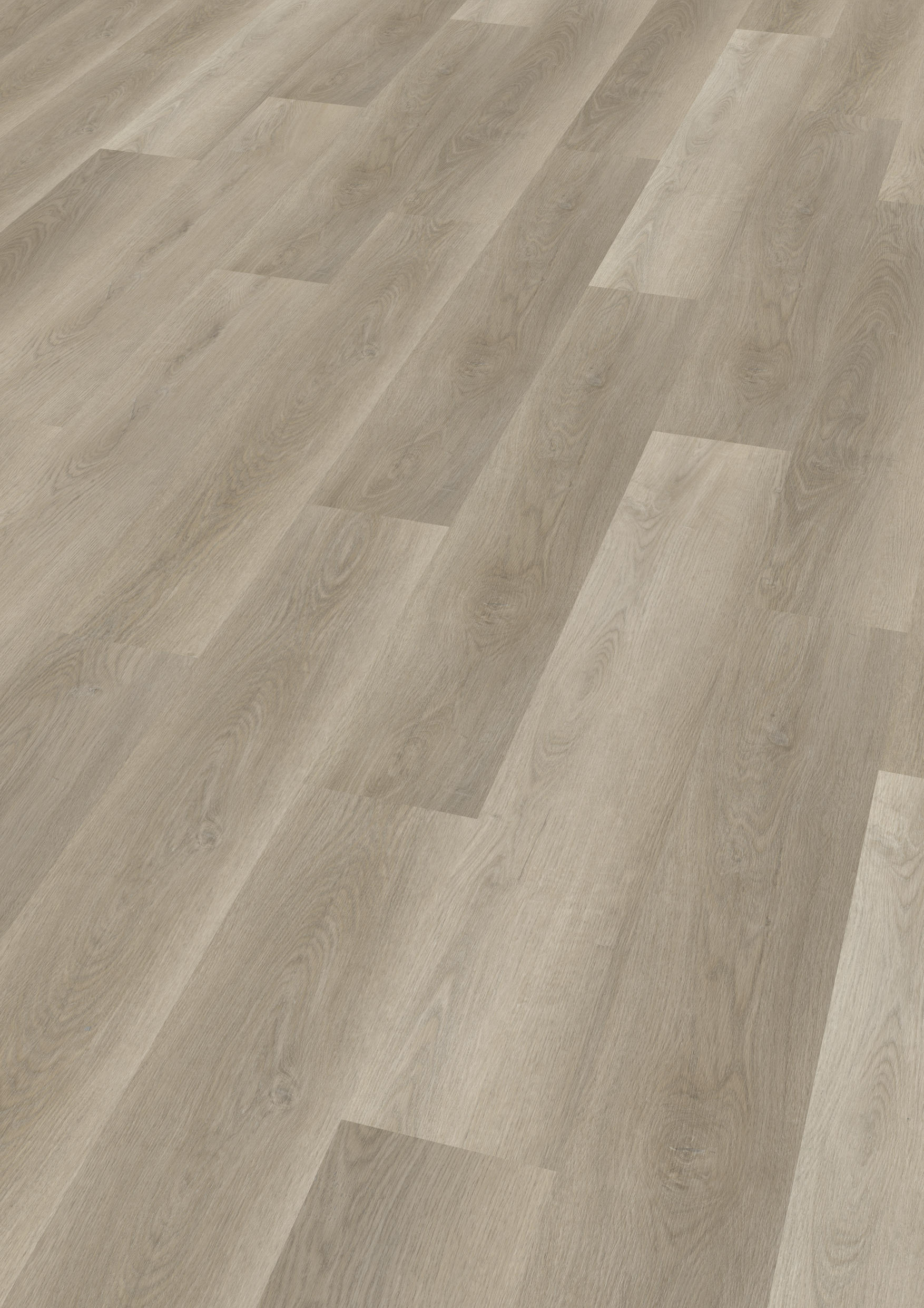 TWG Vinylboden Titan One 030 Gluedown Soft Oak Greige – Bild 2