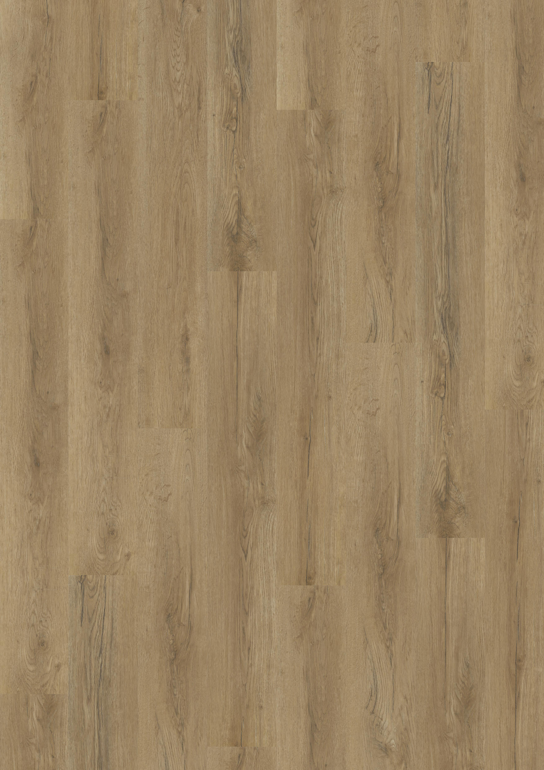 TWG Vinylboden Titan One 030 Rigid - Click German Oak Natural