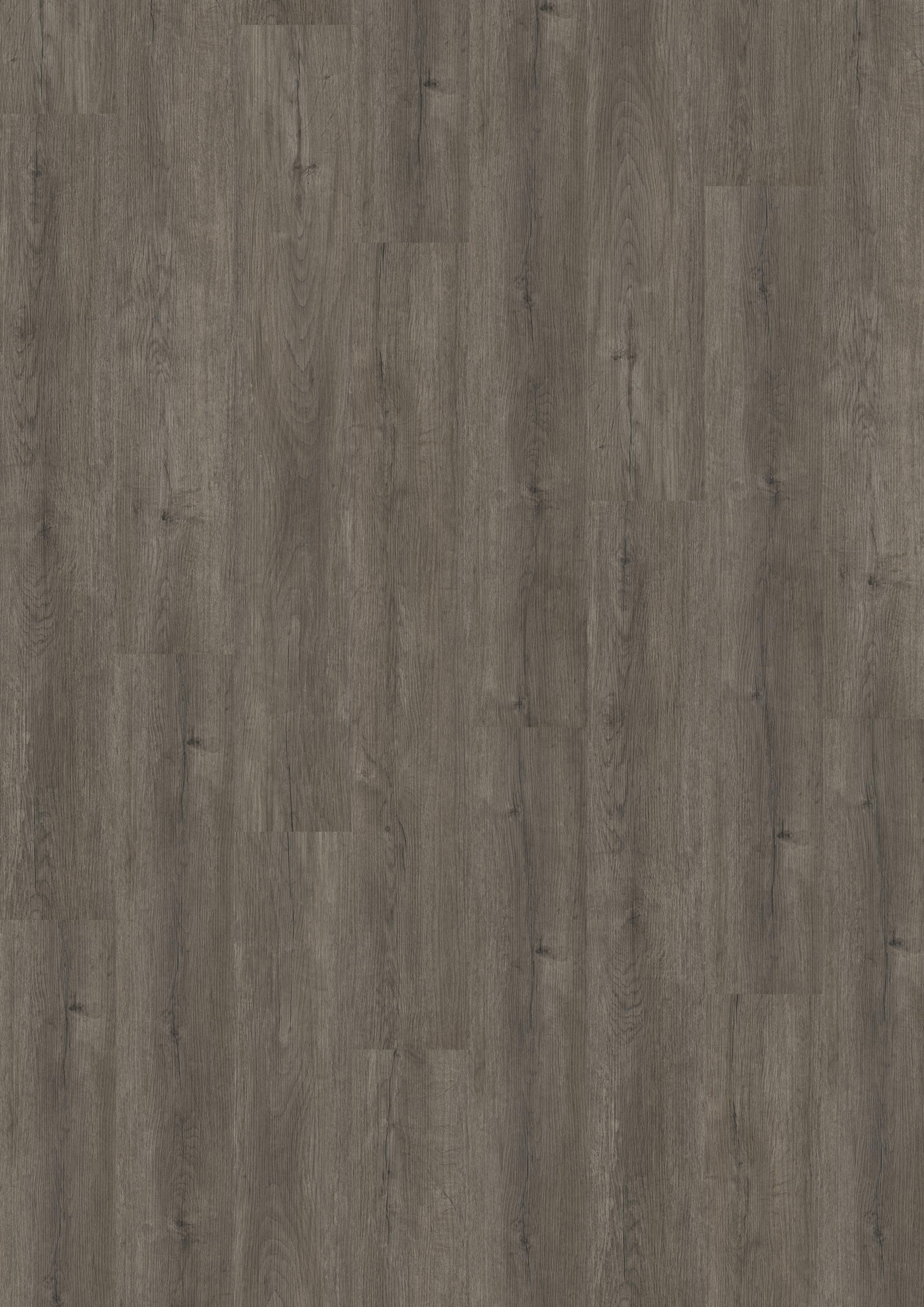 TWG Vinylboden Titan One 030 Rigid - Click Manor Oak Natural Dark