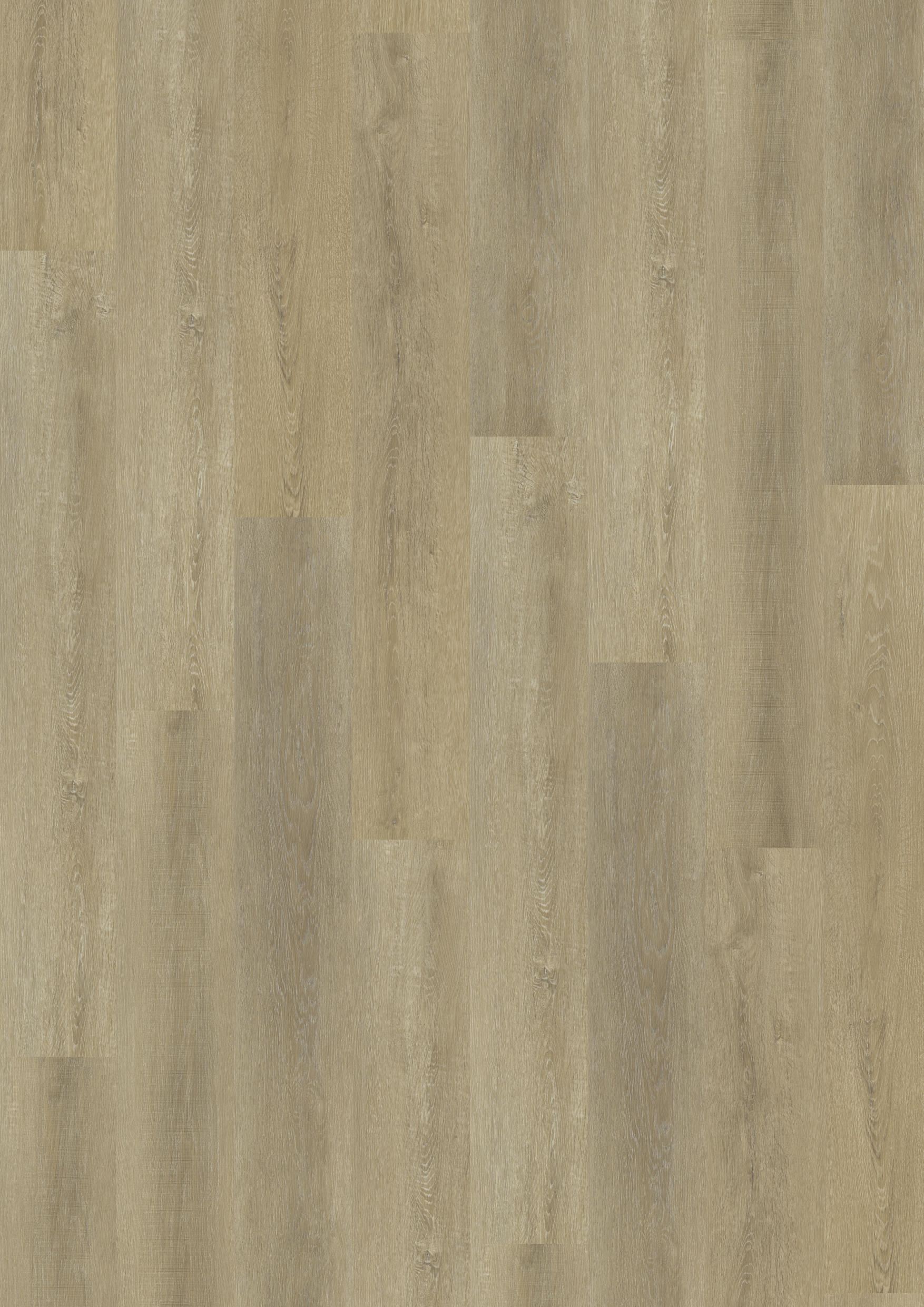 TWG Vinylboden Titan One 030 Rigid - Click Sawcut Oak Natural