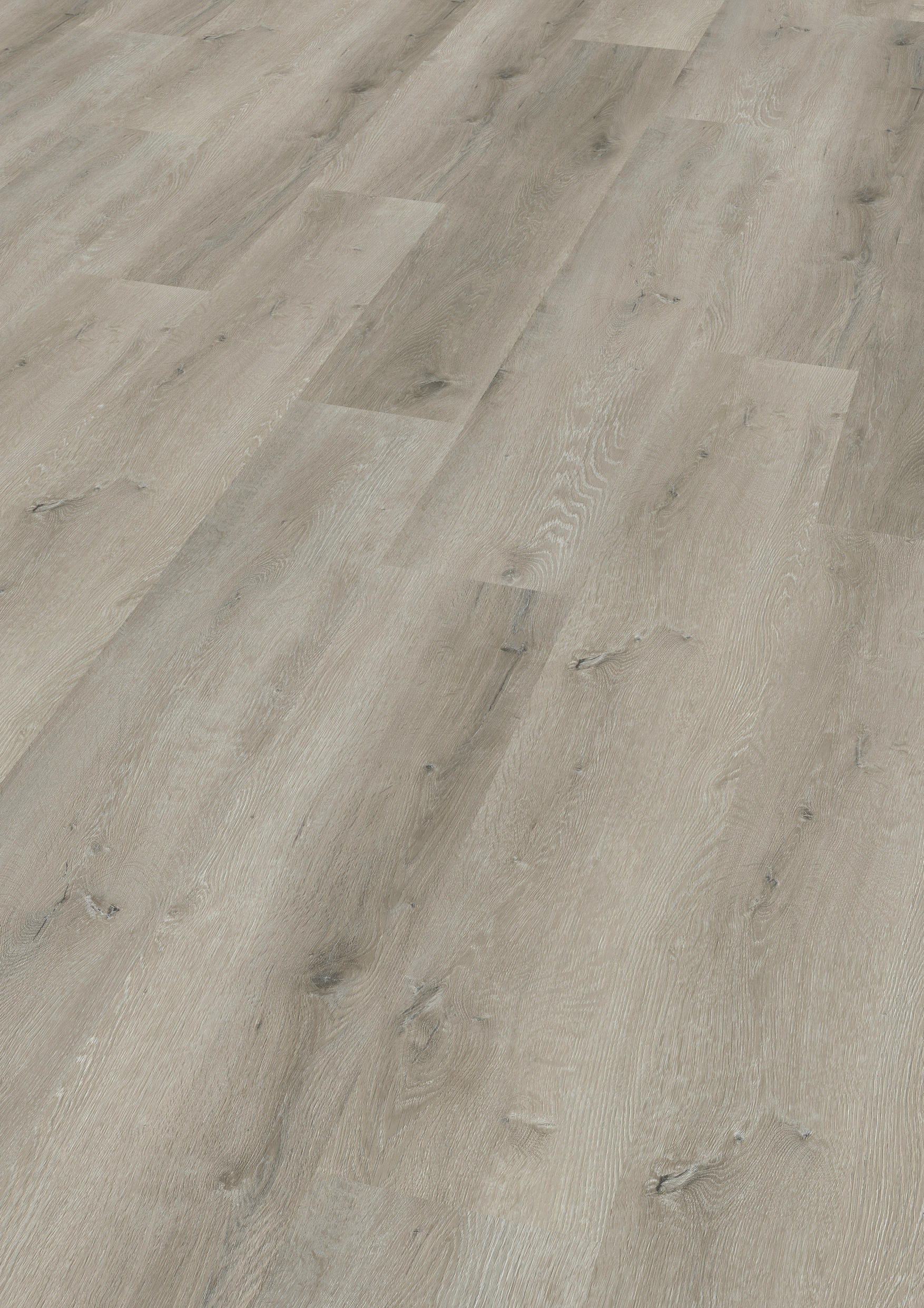 TWG Vinylboden Titan One 030 XL Gluedown Prestige Oak Greige – Bild 2