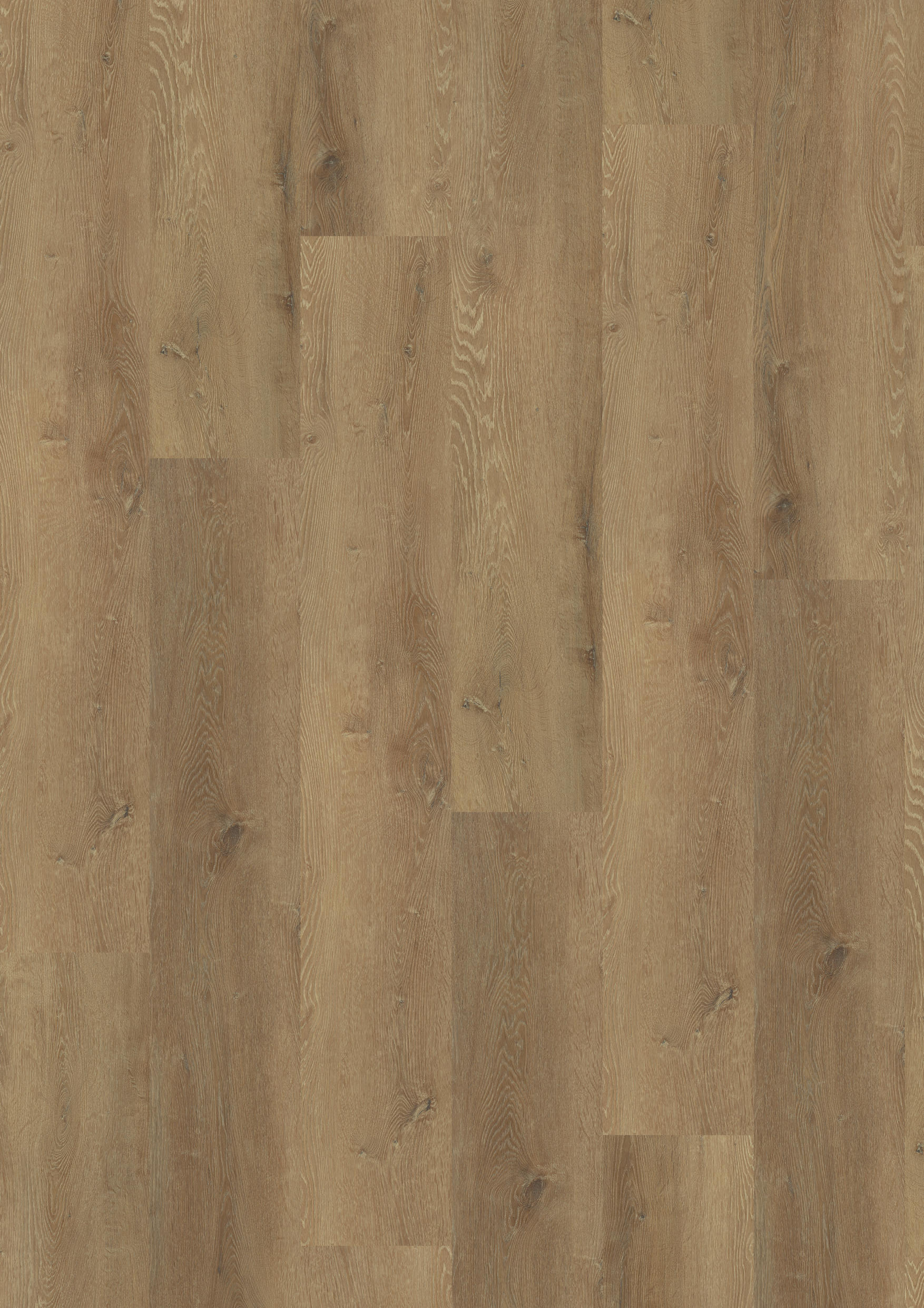 TWG Vinylboden Titan One 030 XL Gluedown Prestige Oak Honey