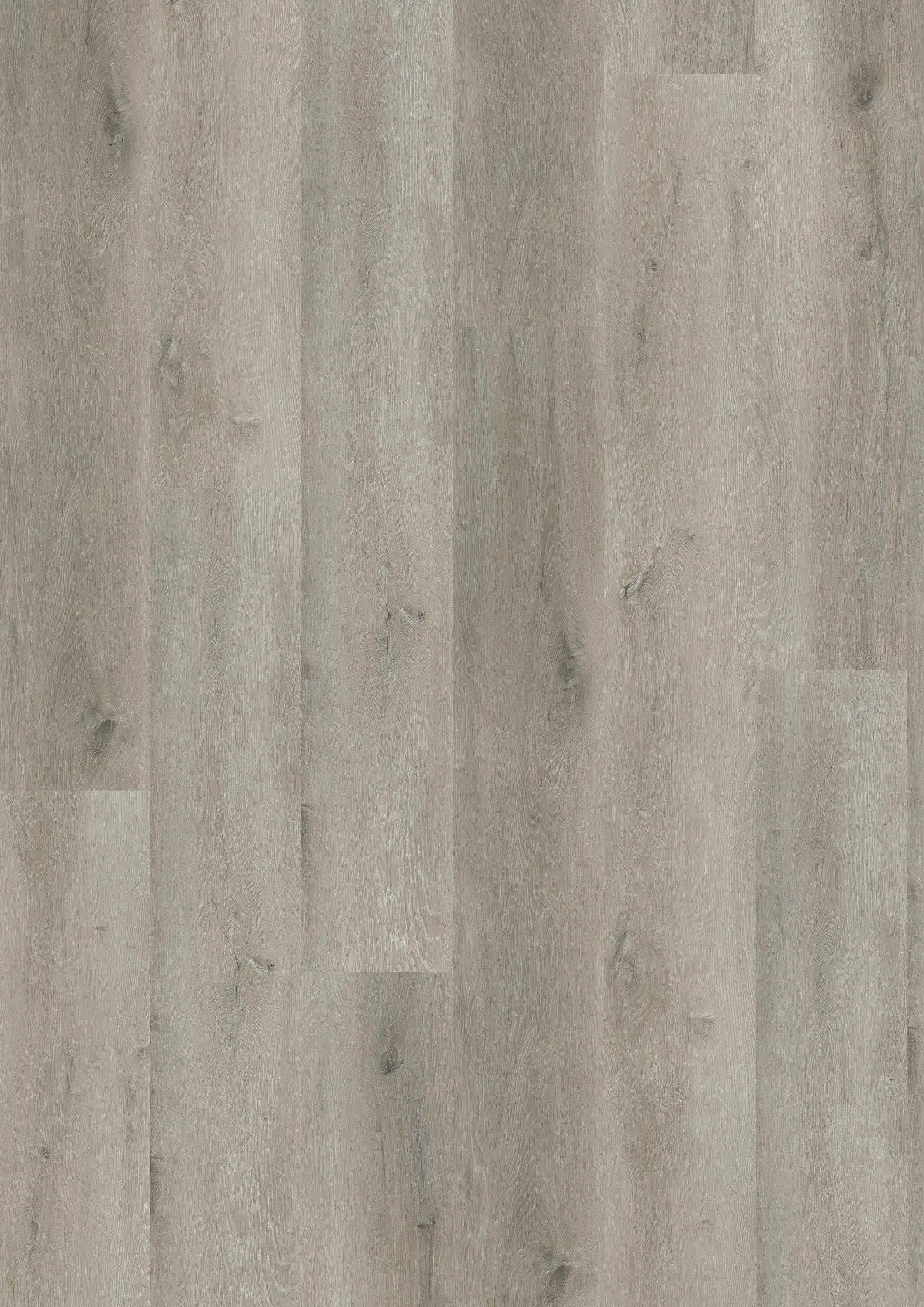 TWG Vinylboden Titan One 030 XL Rigid - Click Prestige Oak Greige