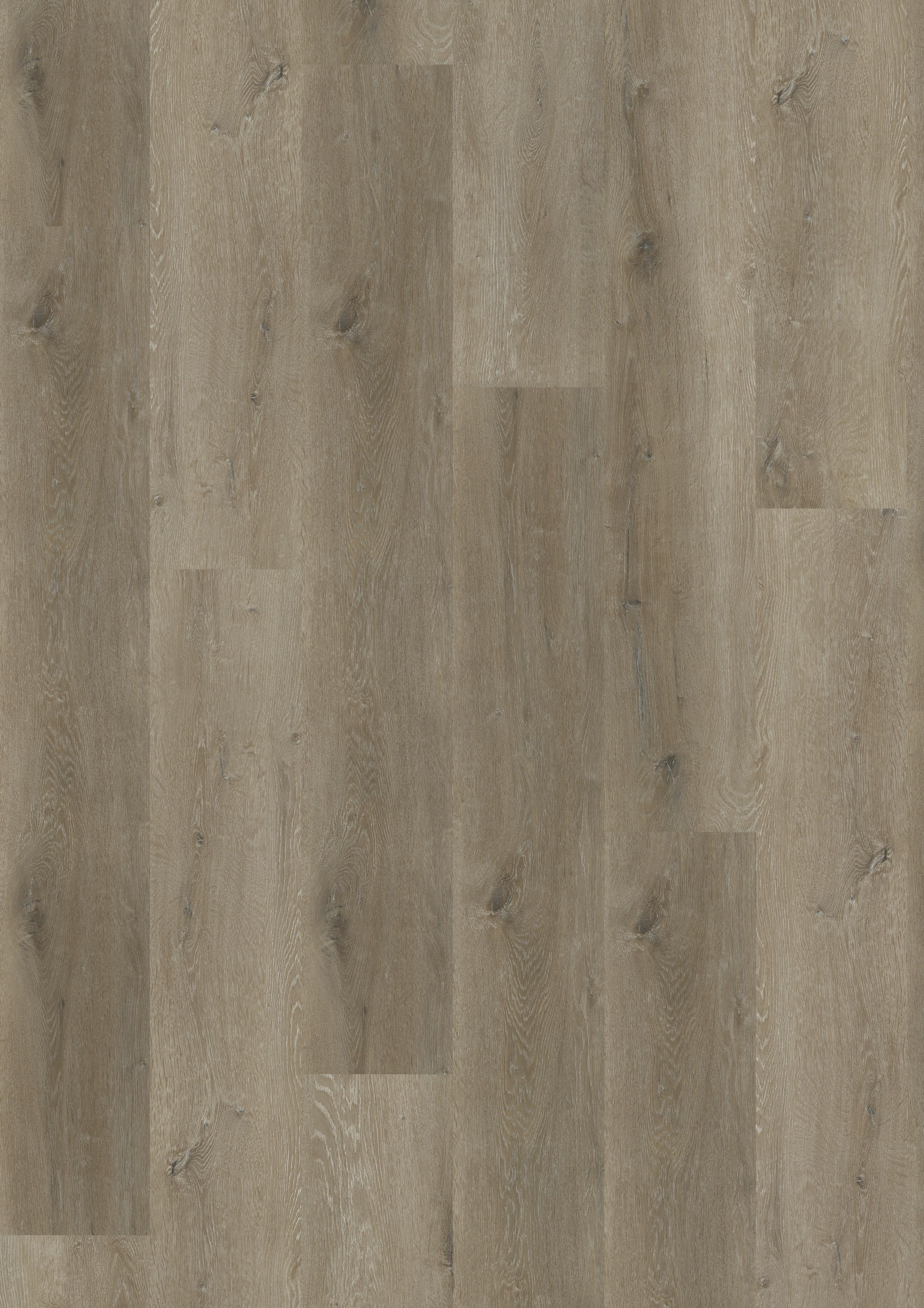 TWG Vinylboden Titan One 030 XL Rigid - Click Prestige Oak Natural