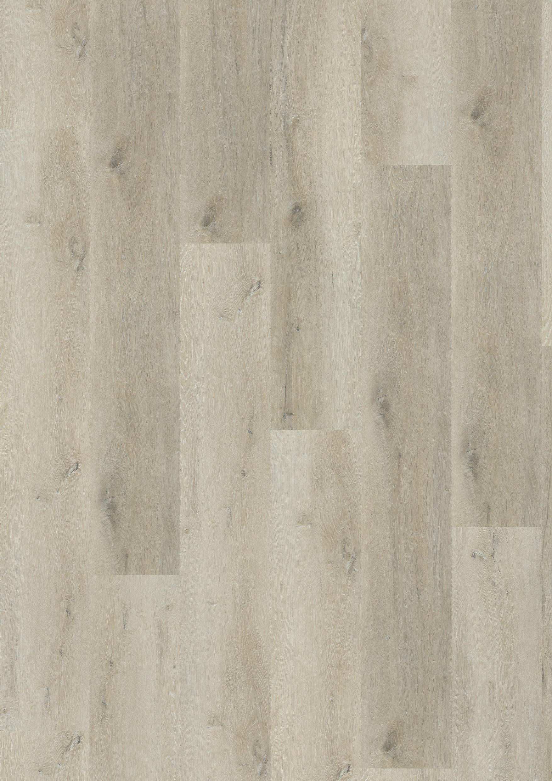 TWG Vinylboden Titan One 030 XL Rigid - Click Prestige Oak White