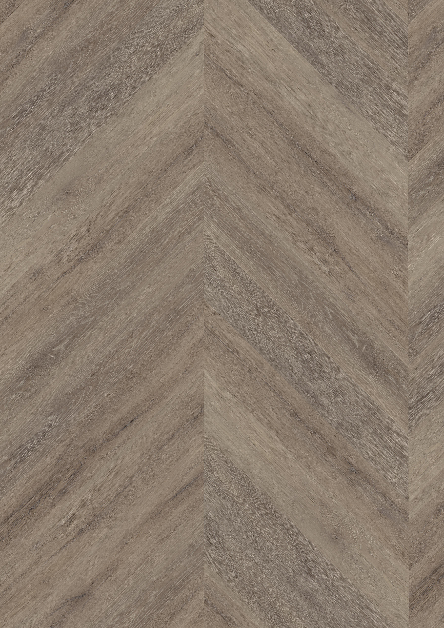 TWG Vinylboden Titan One 055 Chevron Gluedown Cerused Oak Dark Natural
