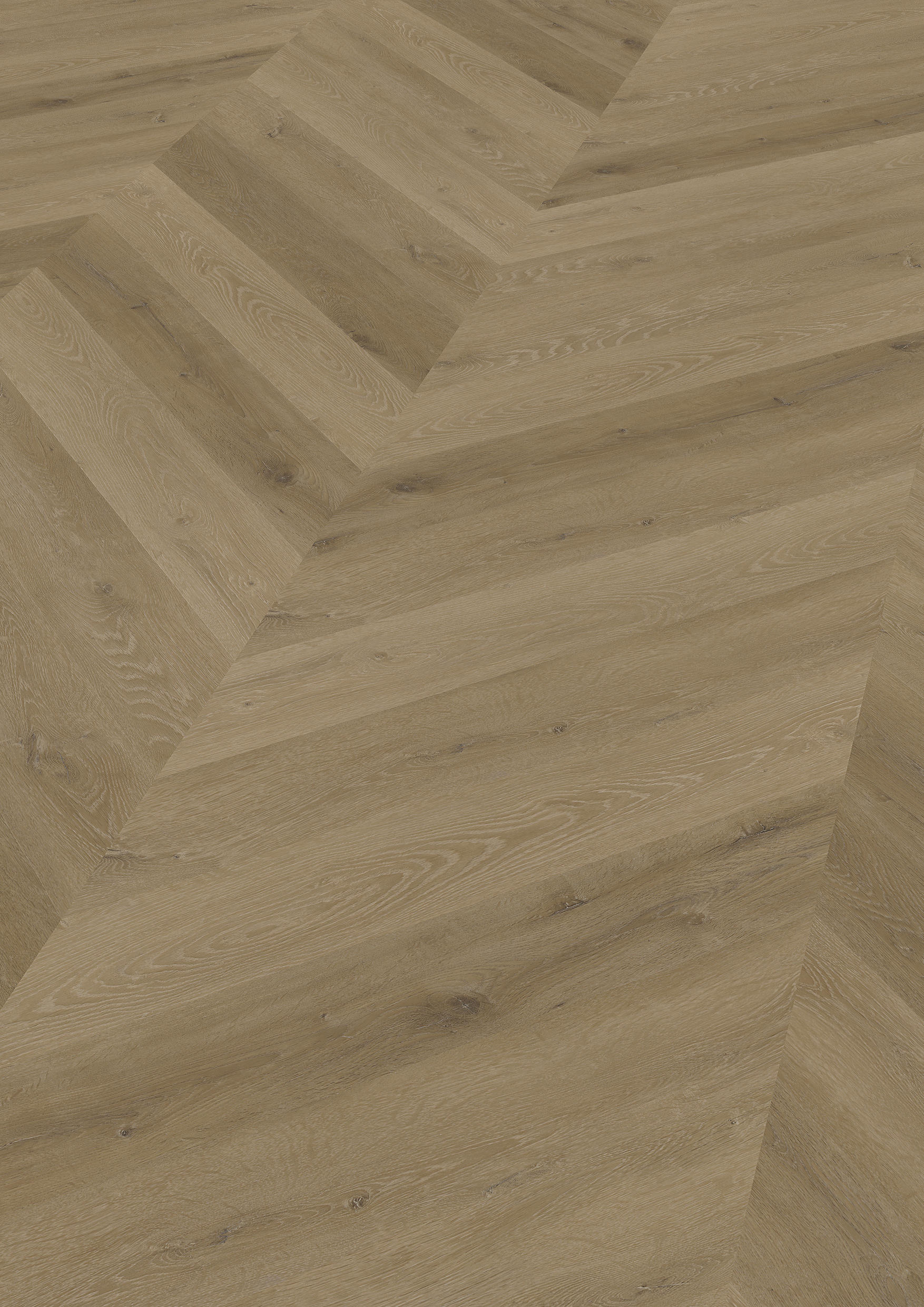 TWG Vinylboden Titan One 055 Chevron Gluedown Prestige Oak Light Amber – Bild 2
