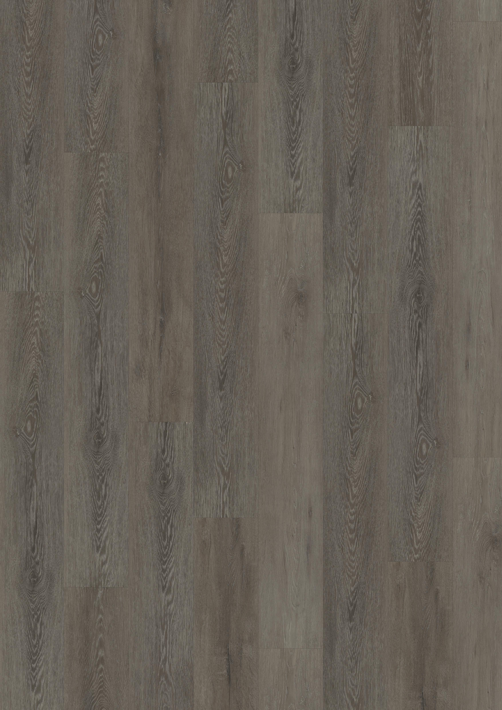 TWG Vinylboden Titan One 055 Rigid - Click Cerused Oak Dark Brown